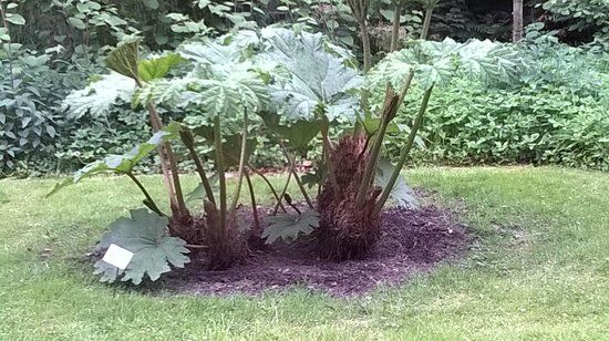 Botanischer Erlebnisgarten Altenburg