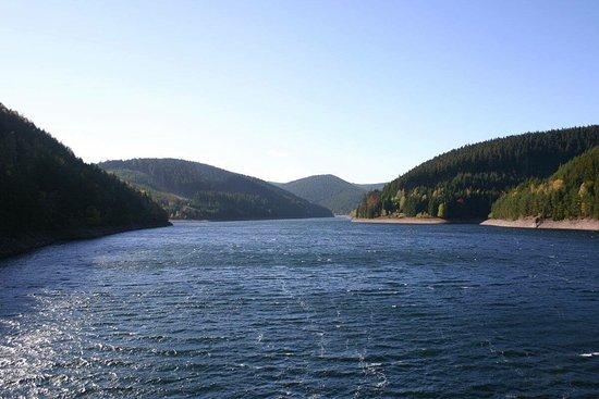 Waldbaude am Staudamm