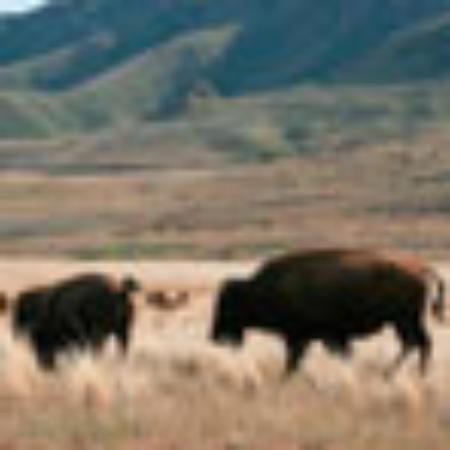 Restaurant Zum Jagdschloss