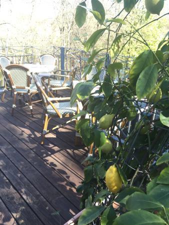 Sächsische Kaffeestube