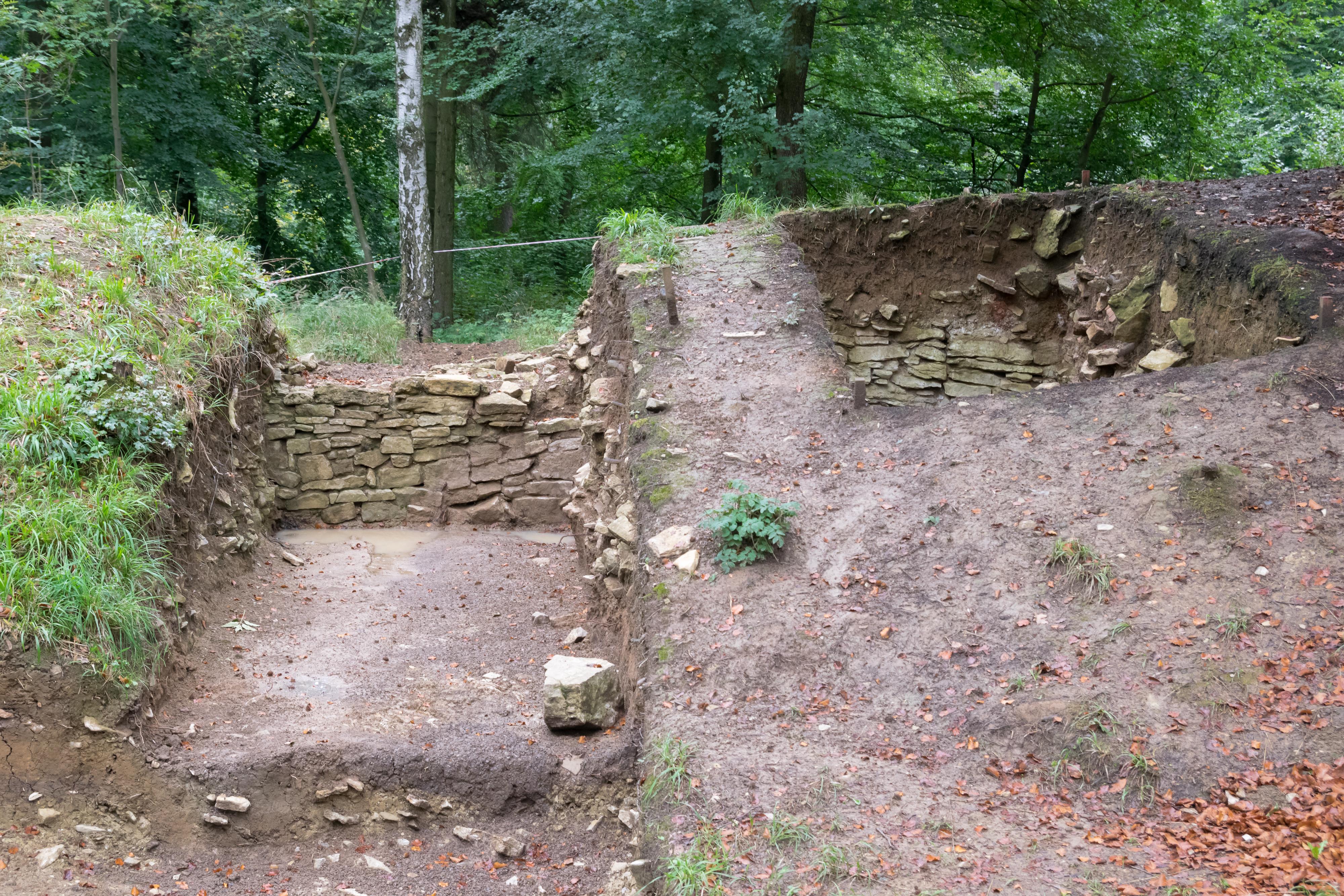 Ringwallanlage Brunfthof