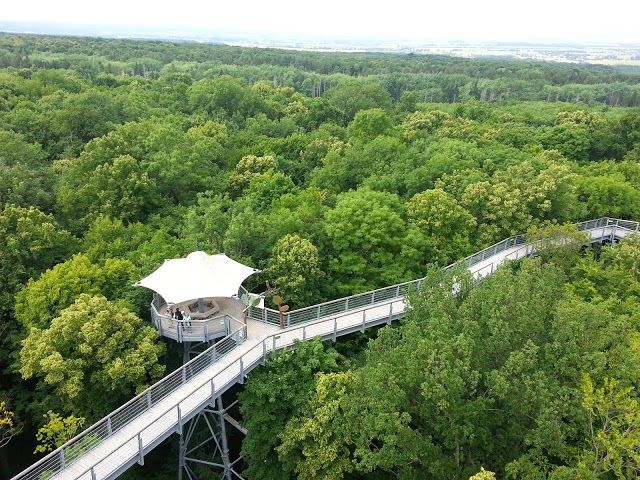 Nationalpark Hainich