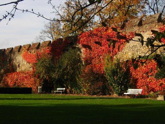 Hotel auf der Creuzburg