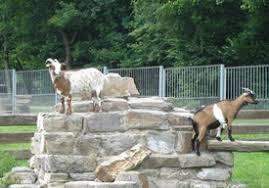 Tiergehege Greiz in Waldhaus Mohlsdorf