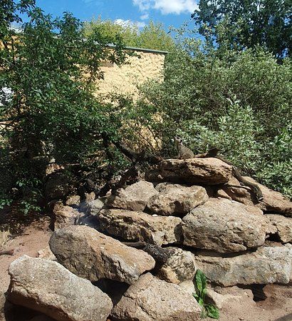 Tiergarten Eisenberg